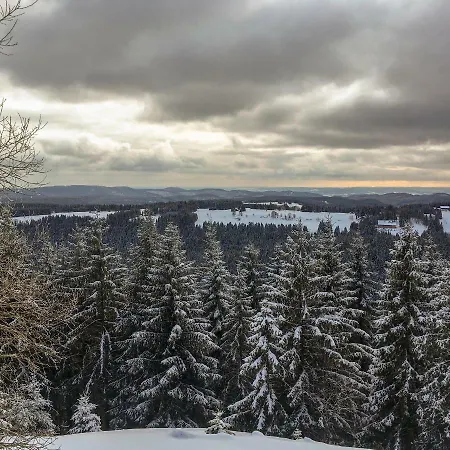 Ferienwohnung Harznest Braunlage Exterior foto