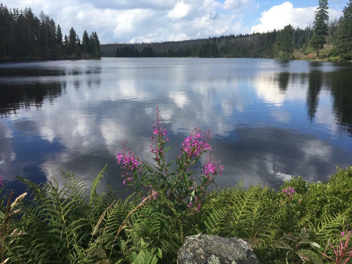 Harznest Braunlage