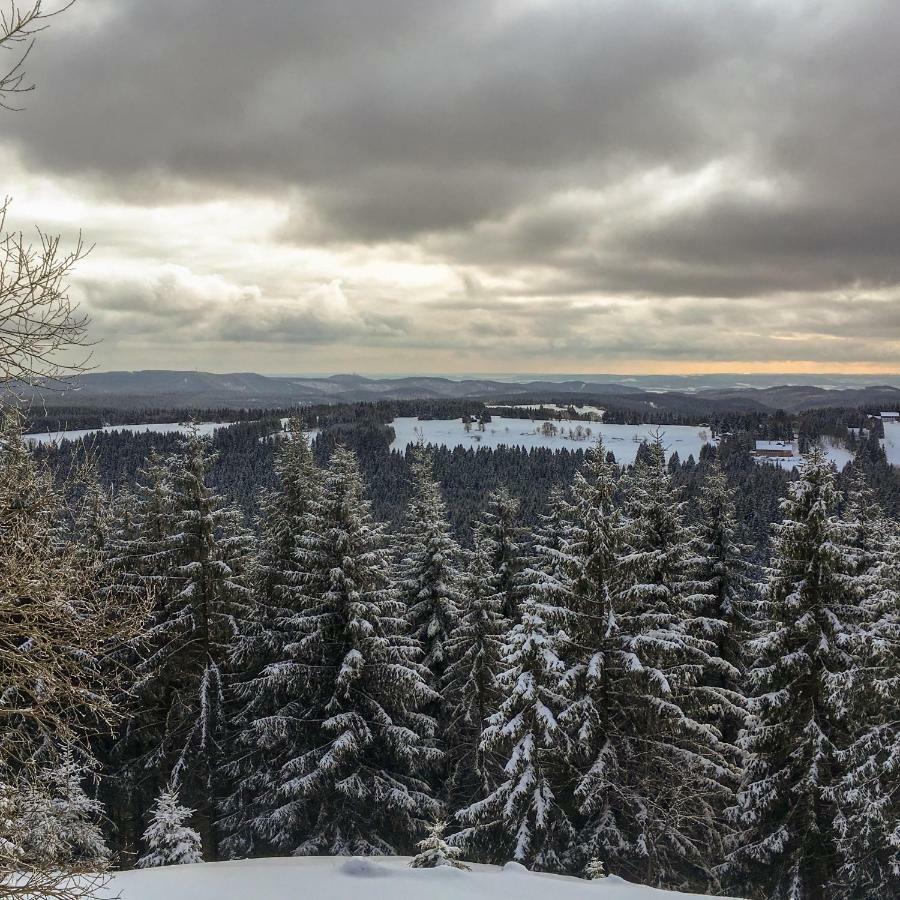 Harznest Braunlage