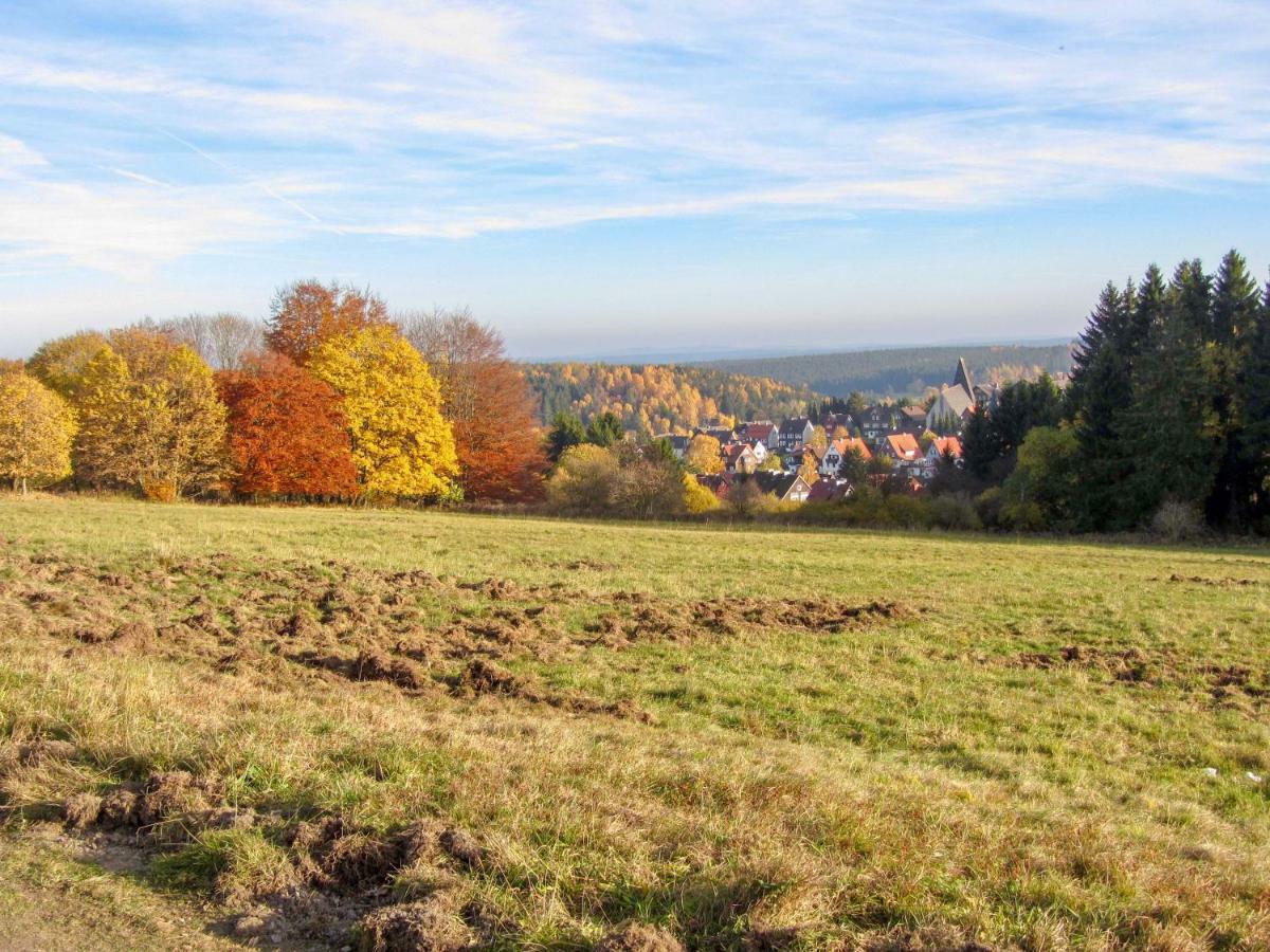 Harznest Braunlage